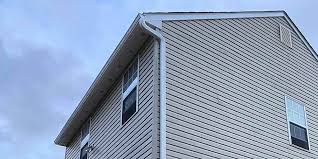 Best Vinyl Siding Installation  in Lesslie, SC